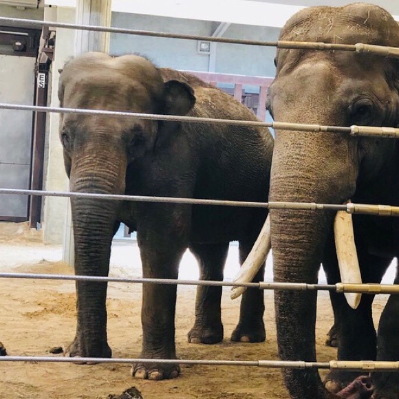 Meet your Posher, Meghan - Picture 1 of 1